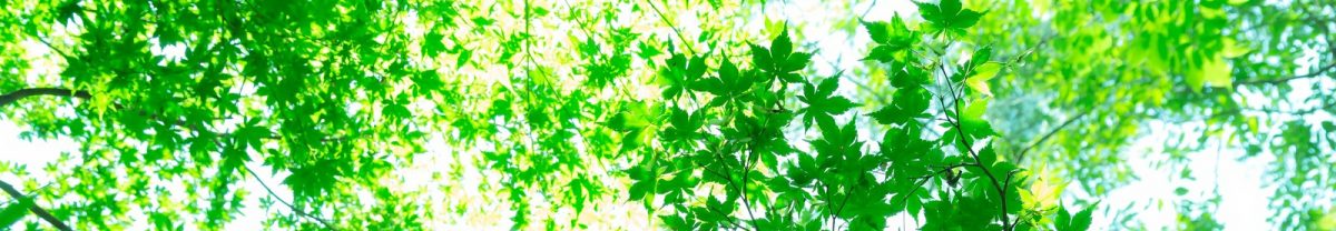 創栄建設株式会社